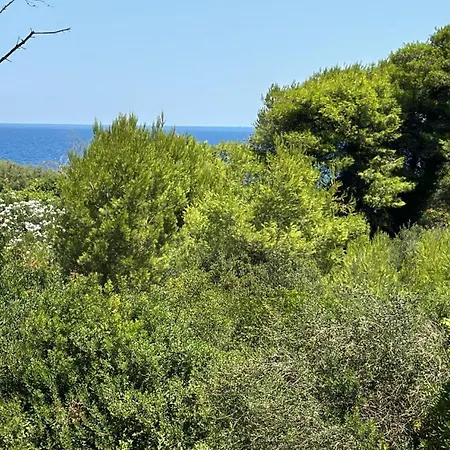 فيلة In Conca Specchiullla
